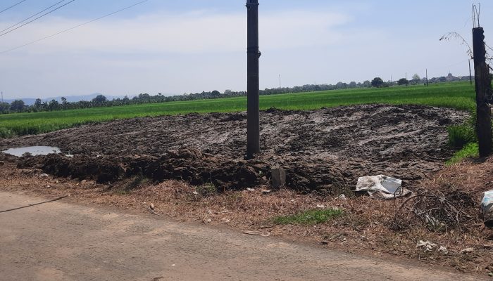 Warga Desa Sikucing Sayangkan Pihak Normalisasi Kalikuto Buang Tanah di Sawah Produktif