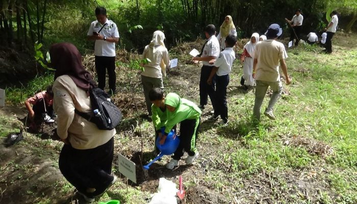 Proklim Desa Wironanggan bersama DLH Tanam 1.100 Pohon di Sendang Tirto Wiguno