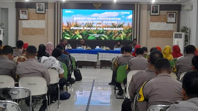 Penyerapan Jagung Pipil Rendah, Perum Bulog Cabang Semarang Lakukan Sosialisasi