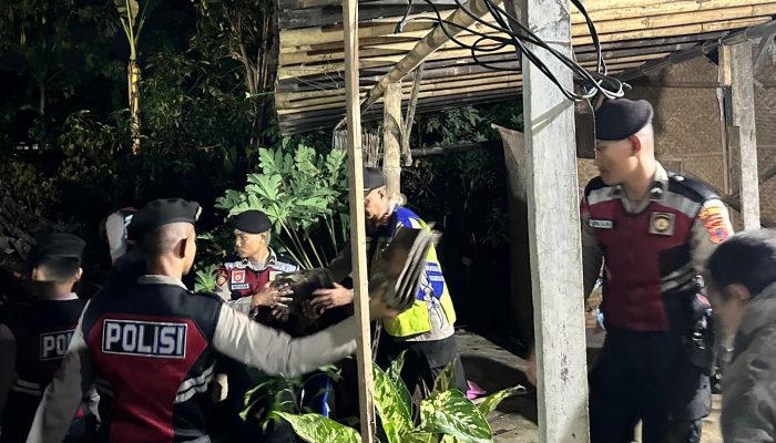 Dimakan Usia Sebuah Rumah di Klaten Roboh