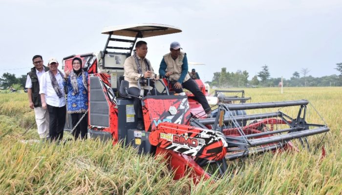 Wamentan Dorong Petani SukoharjoTanam Padi 4 Kali Setahun