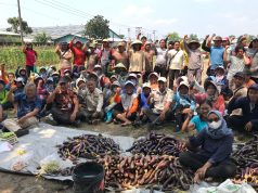 PT Danrilis Siapkan Lahan Pertanian untuk Karyawan Pensiun, Pemkab Sukoharjo Mendukung Penuh
