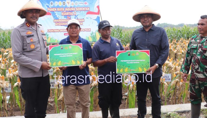 Kapolres Kendal Pimpin Panen Raya Jagung Serentak dan Launching SPPG Polri