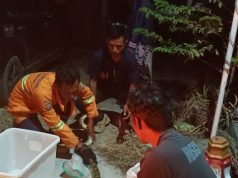 Pemkab Rembang Perkuat Kesiapsiagaan dan Pendekatan Humanis dalam Pelayanan Kebencanaan