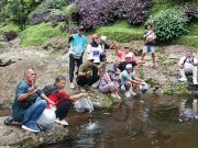 1.400 Benih Ikan Melem Ditebar di 2 Curug Ikonik Banyumas