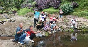 1.400 Benih Ikan Melem Ditebar di 2 Curug Ikonik Banyumas