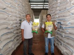 Panen Gadu, Perum Bulog Serap Gabah Petani Secara Maksimal