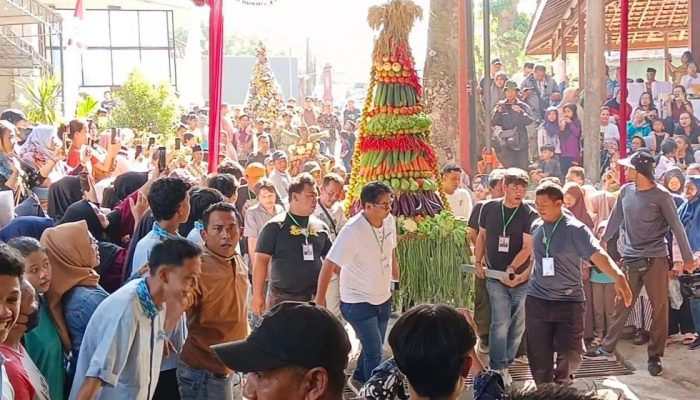 Ratusan Warga Berebut Gunungan di Sendang Simbarjoyo Desa Jonggrangan