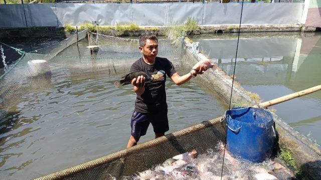 IMG-20260722-WA0008