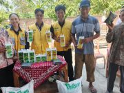 Gapoktan Tani Jaya Desa Kedungwinong Tasyakuran Panen Raya