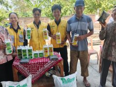 Gapoktan Tani Jaya Desa Kedungwinong Tasyakuran Panen Raya