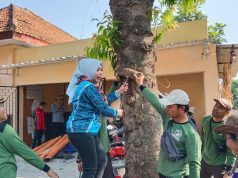 26 Kwarran di Klaten Peduli Lingkungan Cabut Paku di Pohon, Sambut Estafet Tunas Kelapa