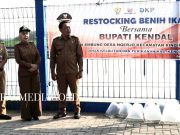 Bupati Lepas Ribuan Benih Ikan Nila di Embung Ngerjo