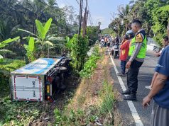 Truk Boks Muatan Ayam Terguling di Bobotsari, Polisi Lakukan Pemeriksaan