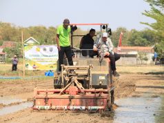 Rembang Terapkan Metode PM-AAS, Produktivitas Padi Berpotensi Naik Jadi 10 Ton per Hektare